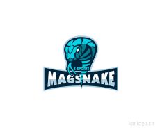 MAGSNAKE