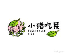 小猪吃菜