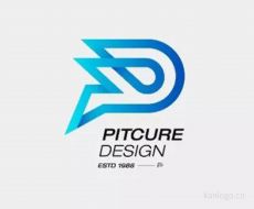 PITCURE DESIGN