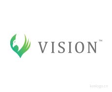 VISION