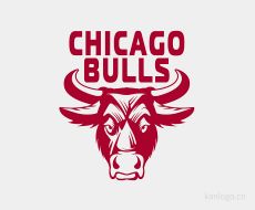 CHICAGO BULLS