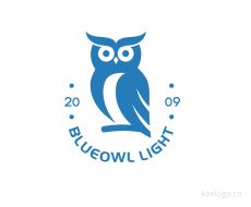 BLUEOWL LIGHT