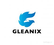 GLEANIX