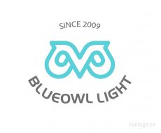 BLUEOWL LIGHT