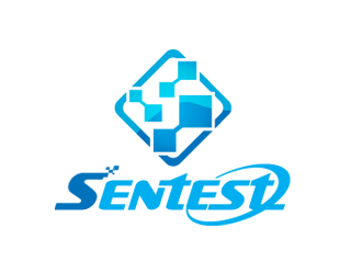 数值试井系统软件logo设计（Sentest ）