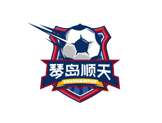 琴岛顺天足球队logo