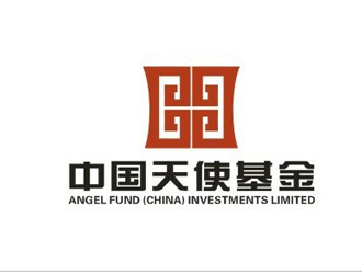 中国天使基金投资