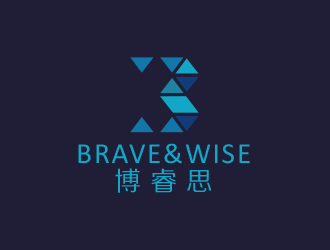 Brave&Wise博睿思咨询公司logo