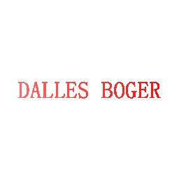 DALLES BOGER