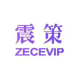 震策 ZECEVIP