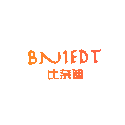 比奈迪  BNIEDT