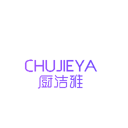 厨洁雅