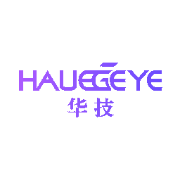 华技 HAUEGEYE