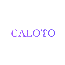 CALOTO