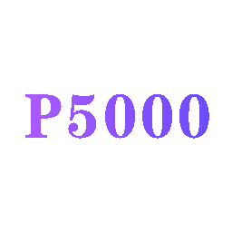 P 5000